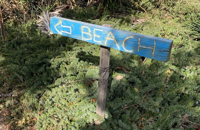 Manor and Mutts #1 - Beach Front, Pet Friendly, High Speed WiFi, Private