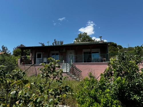 Margarita's House