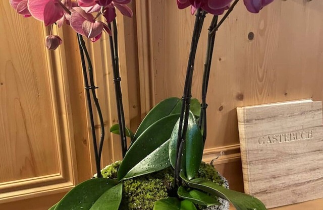 Maris Luxus-Berghütte Gerlitzen