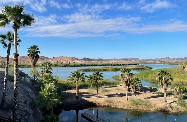 Martinez Lake River Rental - steps to the river