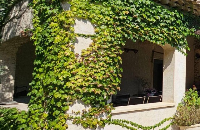 Mas à louer à Saint Cannat dans un cadre verdoyant