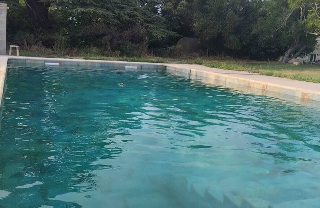 Mas Provençal à 10 minutes de Nîmes.