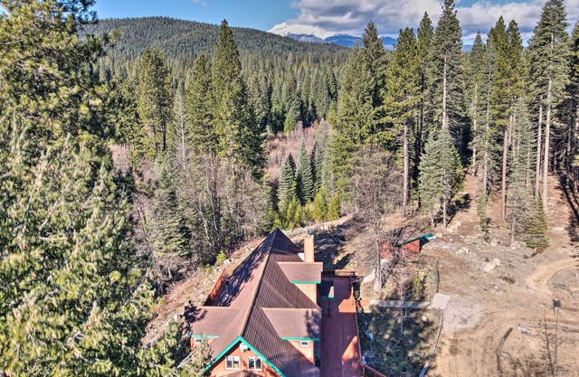 NEW! McCloud Cabin w/ 3.5 Miles of Private Hiking