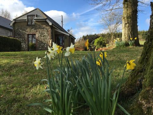 Meadow Sweet Cottage