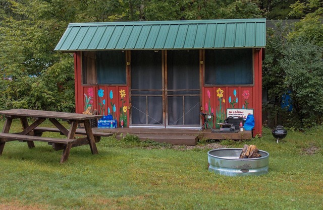 Meadow View Rustic Camping Cabin with WiFi