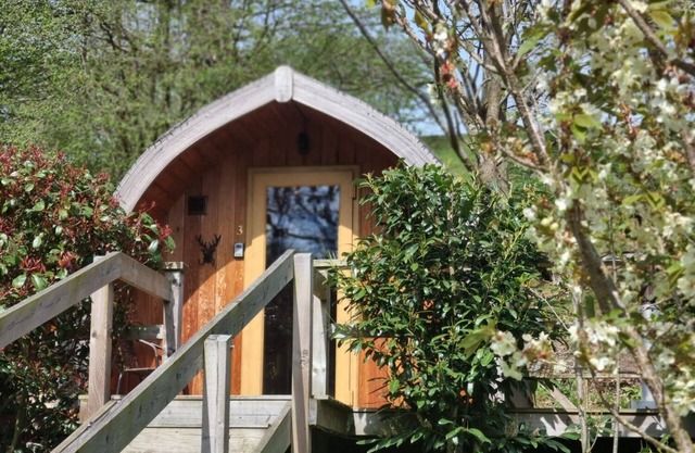 mega pod 3 - a mega pod that sleeps 4 guests in 1 bedroom
