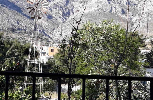 Mela Studios