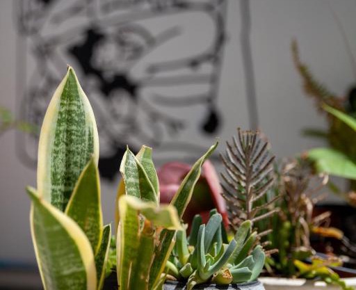 MeMeraki Artist Residency