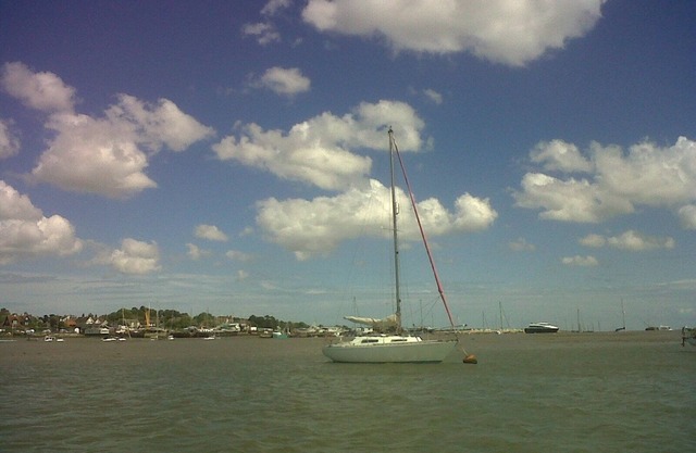 Mersea Island Cottage by the beach and coast. June -July dates available.