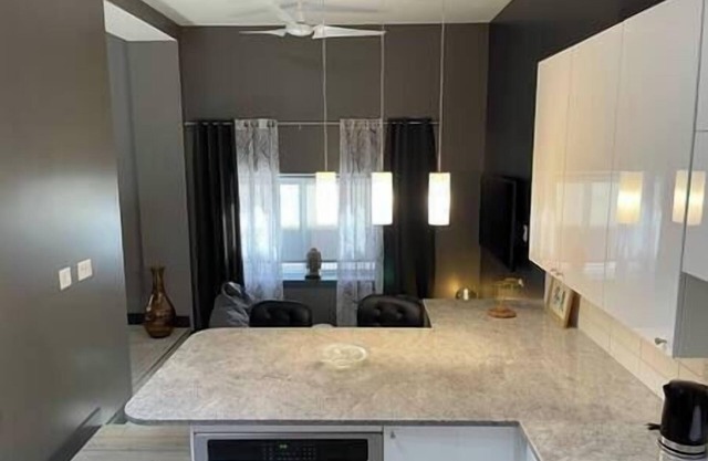 Metropolitan Loft 203
