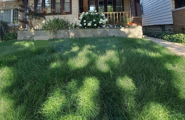 Mi Casa es su Casa 2