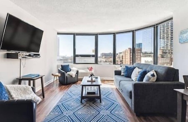 MICH AVE #5 Downtown, Grant Park, Museums 2bd/2ba