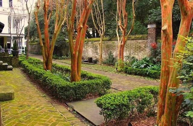 Milieu des années 1700 Carriage House W / Cour, Parking fermé, et une cuisine complète