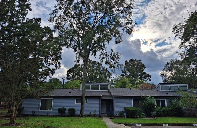 Mid Century Modern Spacious 4BR Home All Inclusice South Charlotte