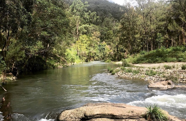 Valley Views Cottage 200 acre property with creek / mountain and 200Mbps wifi