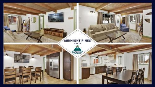 Midnight pines #2424