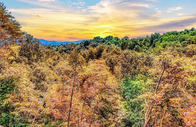 Mighty Birdsong: 2 New Cabins w/ Hot Tubs, Indoor Pools, Mtn Views, Firepit
