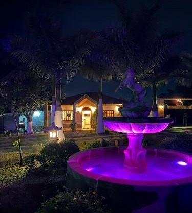 Mini cabaña