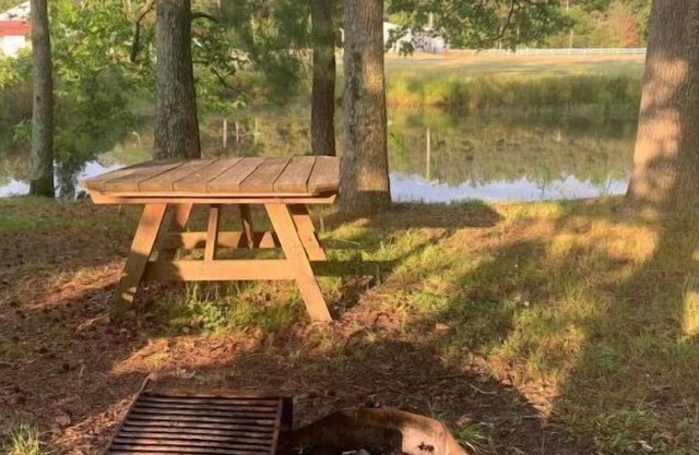 Mini Cabin 5 Near Ocean City & Assateague On catch and release fishing lake