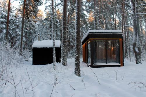 Minimaja ja saunamaja vaatega männimetsale