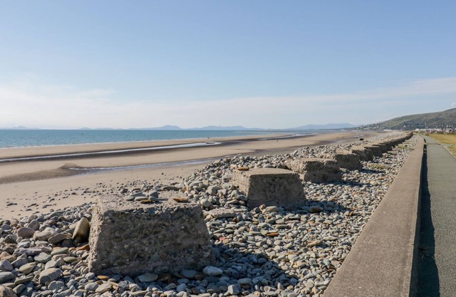 Minydon
