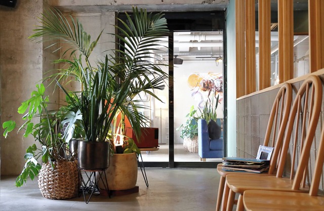 miss morgan hotel