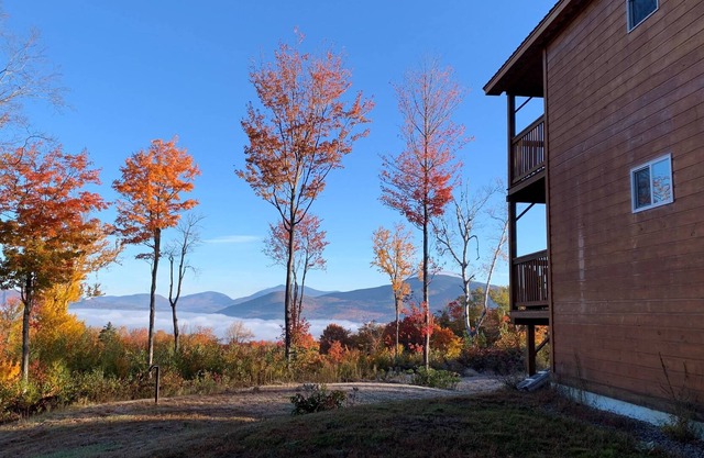 Misty View: Private Mountainside Cabin, 2 Decks, Large Yard, Grill, Huge TV, Dog OK