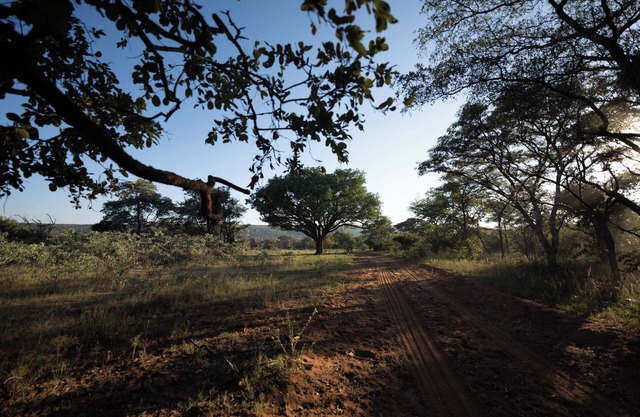 Lodge de chasse privé Mmakuba, villa à deux chambres 2