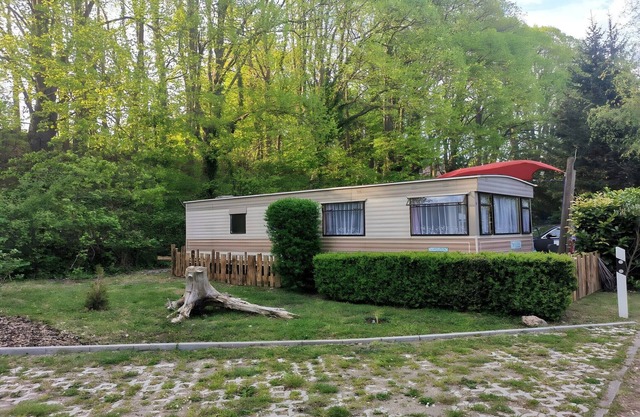 Mobil-home au bord du lac Goldberg