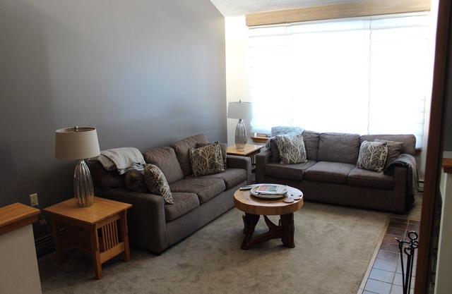 Modern and Cozy Ski Condo