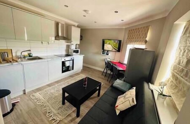 Modern and Luxurious flat in London!