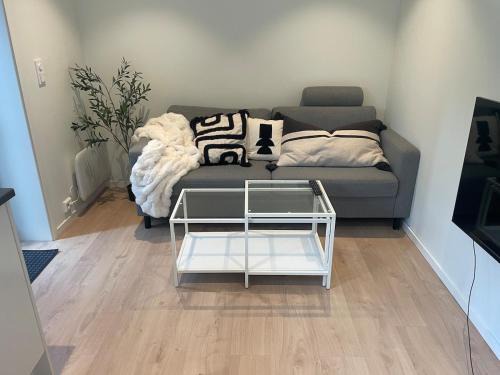 Modern and nice apartment, near the university, UIA