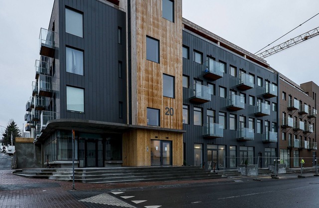 Modern apartment located in central Reykjavik. - Studio 2