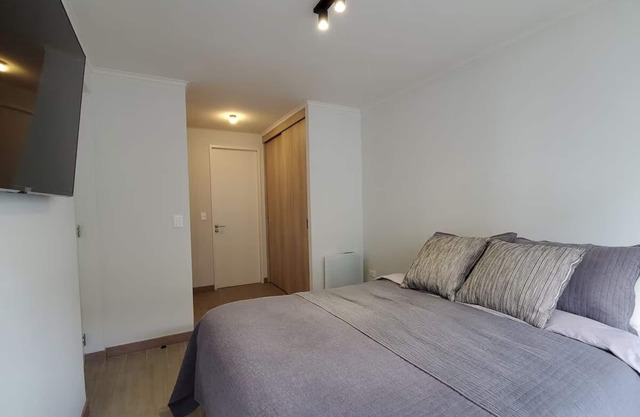 Modern Apartment with Rooms in Suites in Downtown Temuco