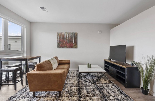 Modern Apt Near Denver Health