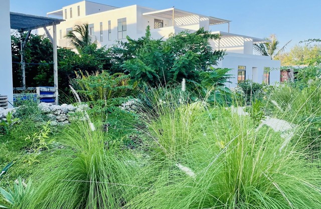 Modern & Bright 3 Bd Apt - Noor House, Paje, Zanzibar