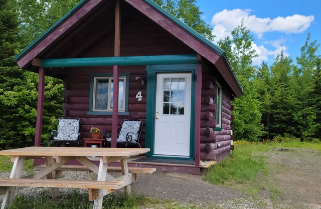 Cabane moderne située dans les bouleaux et les pins du centre du Maine.