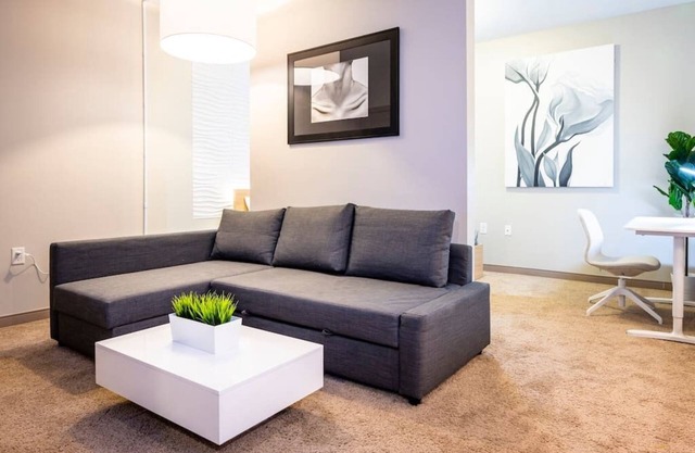 Modern Downtown Luxury Apartment