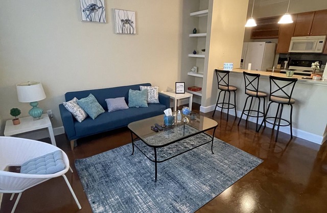 Modern Luxe 2 Bedroom Apt in Houston Heights