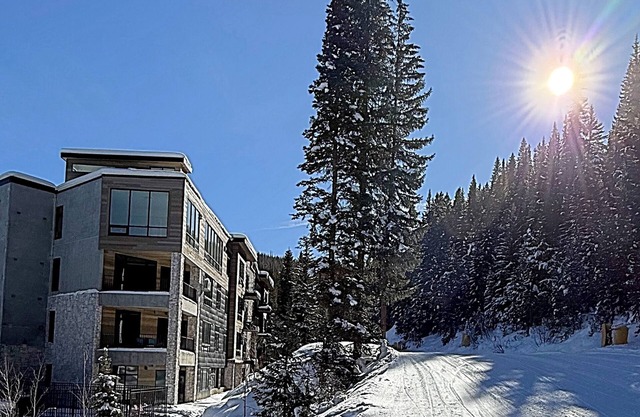 MODERN NEW BUILD IN WINTER PARK-steps from trail.beautiful ski in out.1 br+den.