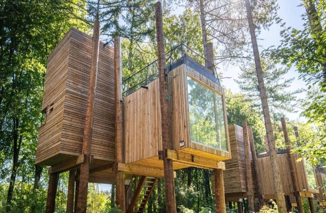 Retraite dans un loft Mystic Tree par Belvilla
