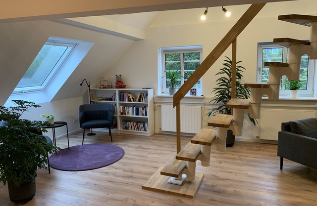 Modern vacation apartment in the center of Olpe