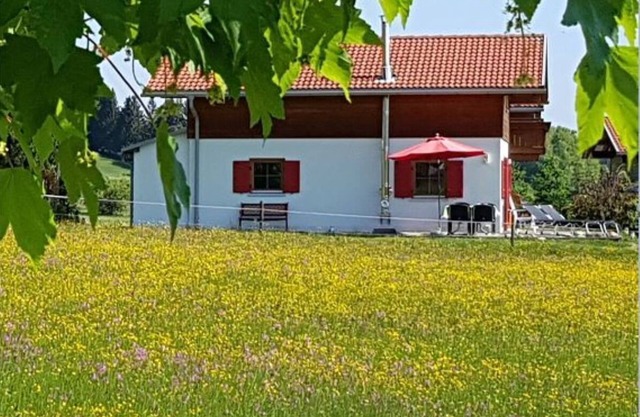 Maison de vacances moderne dans un endroit calme sur le Lechsee près de Füssen, cheminée, Internet sans fil