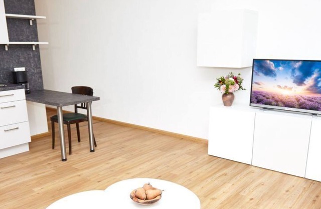 Appartement moderne de 47 m², kitchenette entièrement équipée, connexion Wi-Fi gratuite