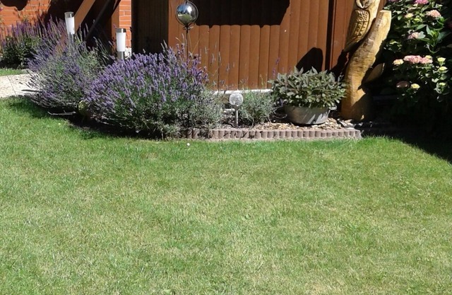 Moin et bienvenue, nous vous proposons notre appartement au rez-de-chaussée!