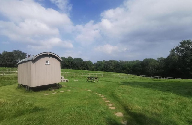 Molly Dishwasher Shepherds Hut
