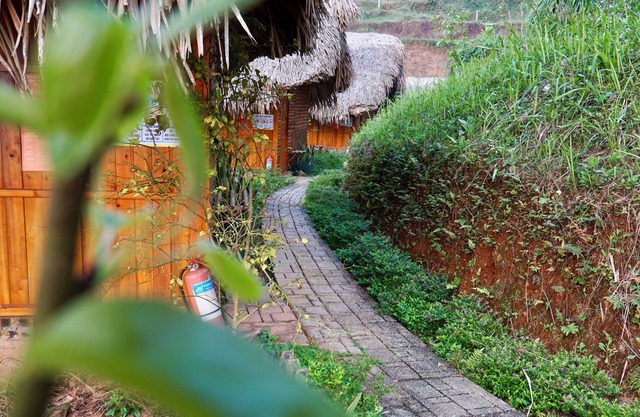 MONG NGUA BUNGALOW & HOMESTAY