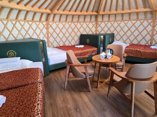 Mongolian Secret History camp