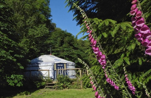 Yourte mongole dans un cadre idyllique et totalement privé à Dartmoor