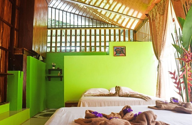 Monkey Lodge- Drake Bay - Faites partie de la forêt tropicale